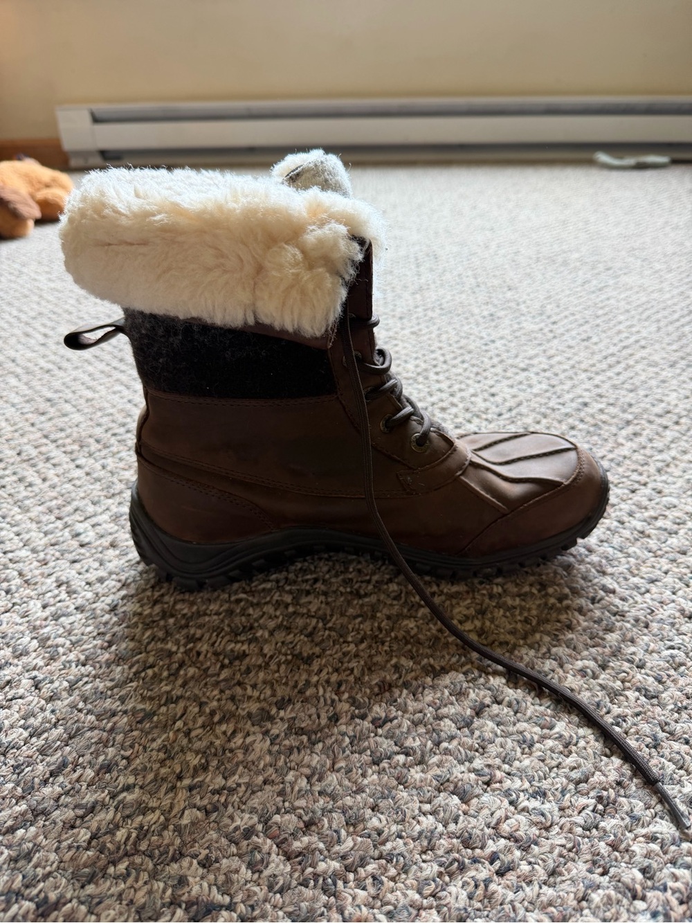 Ugg Winter Boots